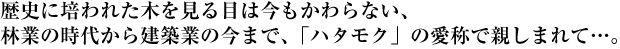 歴史に培われた木を見る目は今もかわらない、林業の時代から建築業の今まで、「ハタモク」の愛称で親しまれて…。