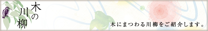 川柳